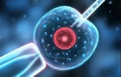 一二三代試管嬰兒成功幾率各多少？