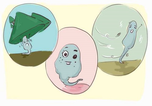 hiv男洗精加試管費(fèi)用是多少？要知道