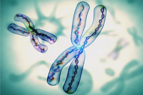 2018年試管嬰兒費(fèi)用要多少？