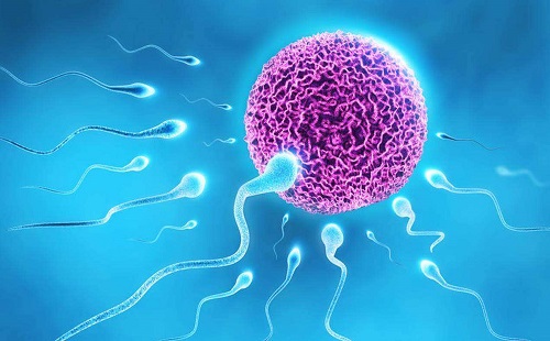 2022年北京試管嬰兒最好的醫(yī)院需要多少錢(qián)？_2