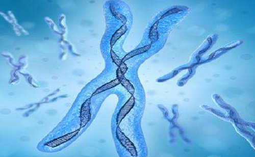 nic醫(yī)院優(yōu)勢你還不知道？