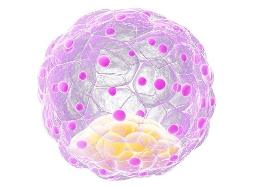 2022廈門第三代試管嬰兒成功率多高？