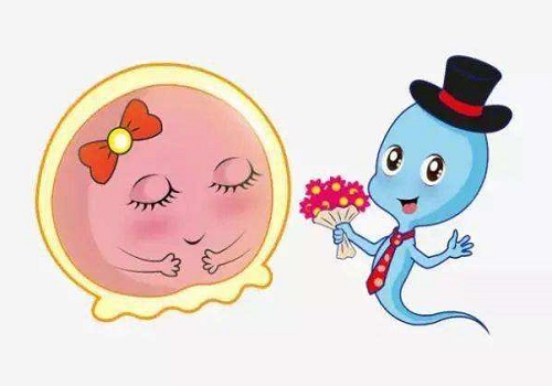 弱精癥做試管嬰兒的成功幾率高嗎