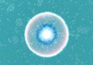 泰國醫(yī)院試管成功率比國內(nèi)高嗎