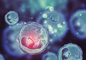 精液異常做俄羅斯試管成功率高嗎