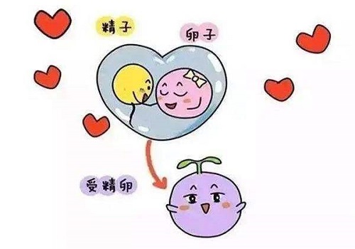 如何選擇試管嬰兒醫(yī)院