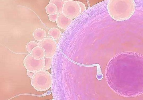 試管嬰兒醫(yī)院價格多少