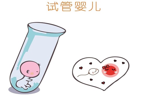 在醫(yī)院做試管嬰兒費用多少錢