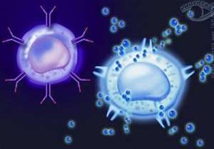 試管嬰兒多少錢(qián)能做呢