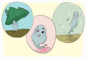 2022試管嬰兒做一次多少錢