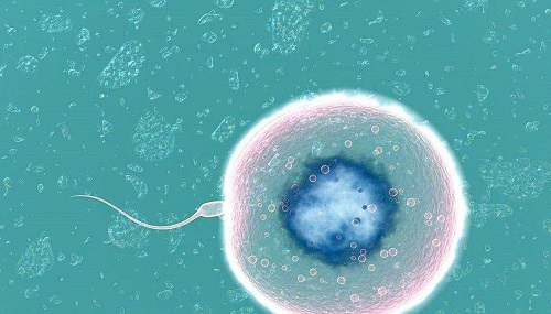 試管嬰兒費用需要多少錢呢