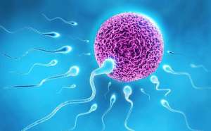 做試管嬰兒大概需多少錢