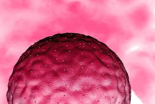 做第三代試管嬰兒要多少錢才夠