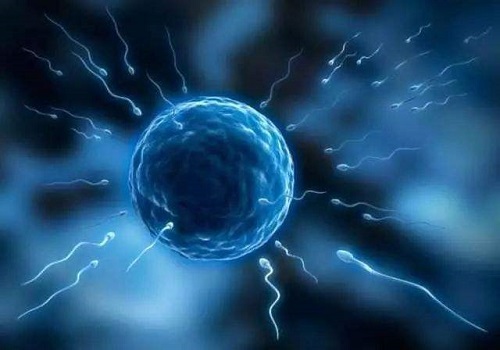 做試管多少錢夠