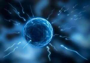 做試管多少錢夠