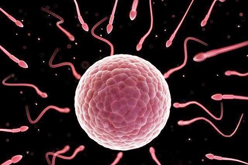 國(guó)內(nèi)做第三代試管費(fèi)用要多少錢(qián)