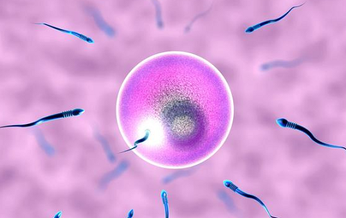 第三代試管嬰兒的過(guò)程