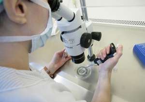 美國(guó)試管嬰兒費(fèi)用多少