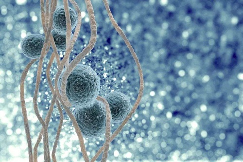 俄羅斯試管嬰兒費(fèi)用