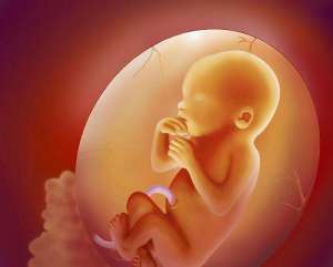 俄羅斯試管嬰兒好嗎?