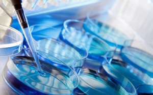 泰國(guó)試管嬰兒全包價(jià)格