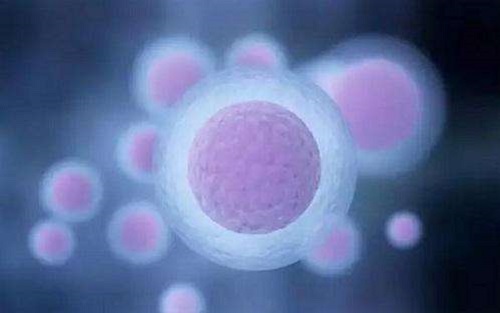 試管嬰兒可以能不能生