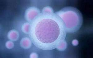 試管嬰兒能不能生