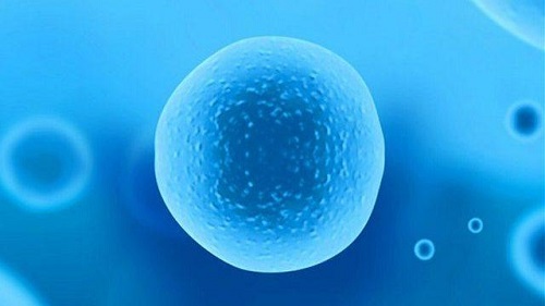 做俄羅斯試管嬰兒費(fèi)用多少錢