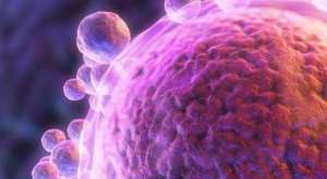 去泰國做試管嬰兒的優(yōu)勢有哪些