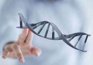 泰國試管的價格是多少