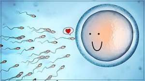 為什么泰國的試管嬰兒技術(shù)領(lǐng)先中國