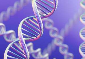 泰國試管技術(shù)的世界水平如何