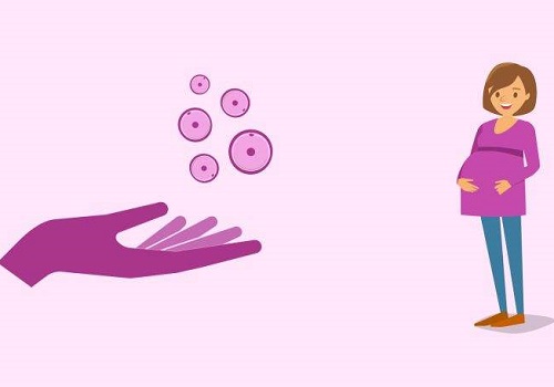 美國試管嬰兒的報價多少