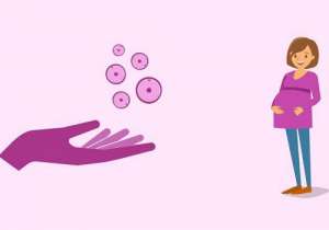 美國(guó)試管嬰兒的報(bào)價(jià)多少