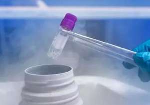 試管嬰兒費(fèi)用有多少