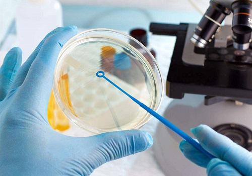 試管可以決定胎兒?jiǎn)? />
</p>
<p style=