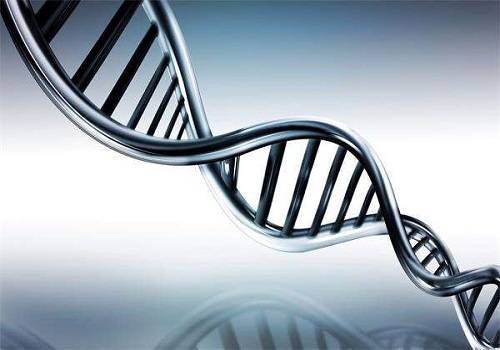 做泰國試管嬰兒的費用詳細