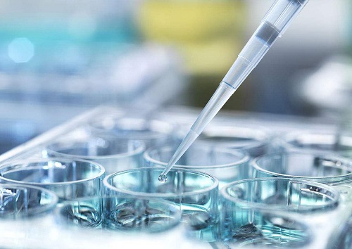 試管嬰兒要多少錢