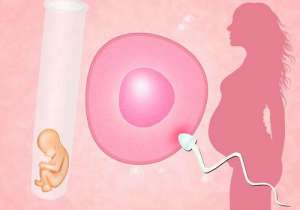 美國(guó)試管嬰兒費(fèi)用的主要組成部分