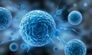 俄羅斯試管嬰兒多少錢(qián)