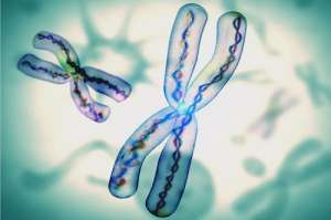 泰國做試管嬰兒優(yōu)勢有哪些