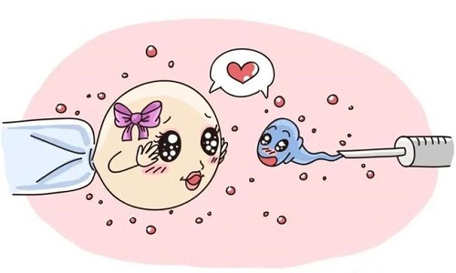 試管嬰兒的收費(fèi)項(xiàng)目都包括哪些