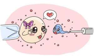 試管嬰兒的收費(fèi)項(xiàng)目都包括哪些