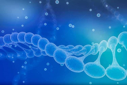 試管嬰兒花費(fèi)在哪里