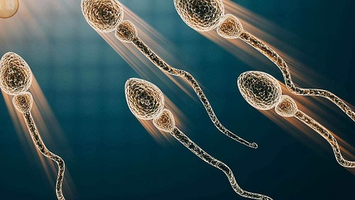 泰國做試管嬰兒需要準(zhǔn)備多少錢