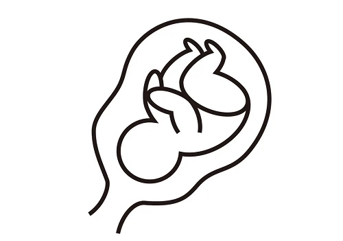 3代試管嬰兒的大概費(fèi)用多少