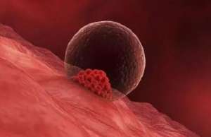 去泰國做試管要準(zhǔn)備多少錢