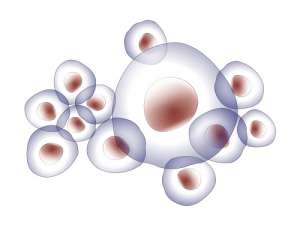 泰國試管嬰兒報價多少費用